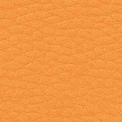 240056-260 - Leatherette Fabric - Honey
